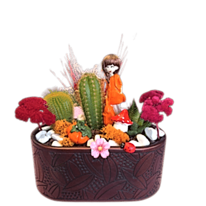 Kaktüs Aranjmanı | Mini Dekoratif Bitki | sprackspree.shop