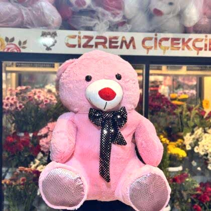 Ayıcıklar & Peluşlar