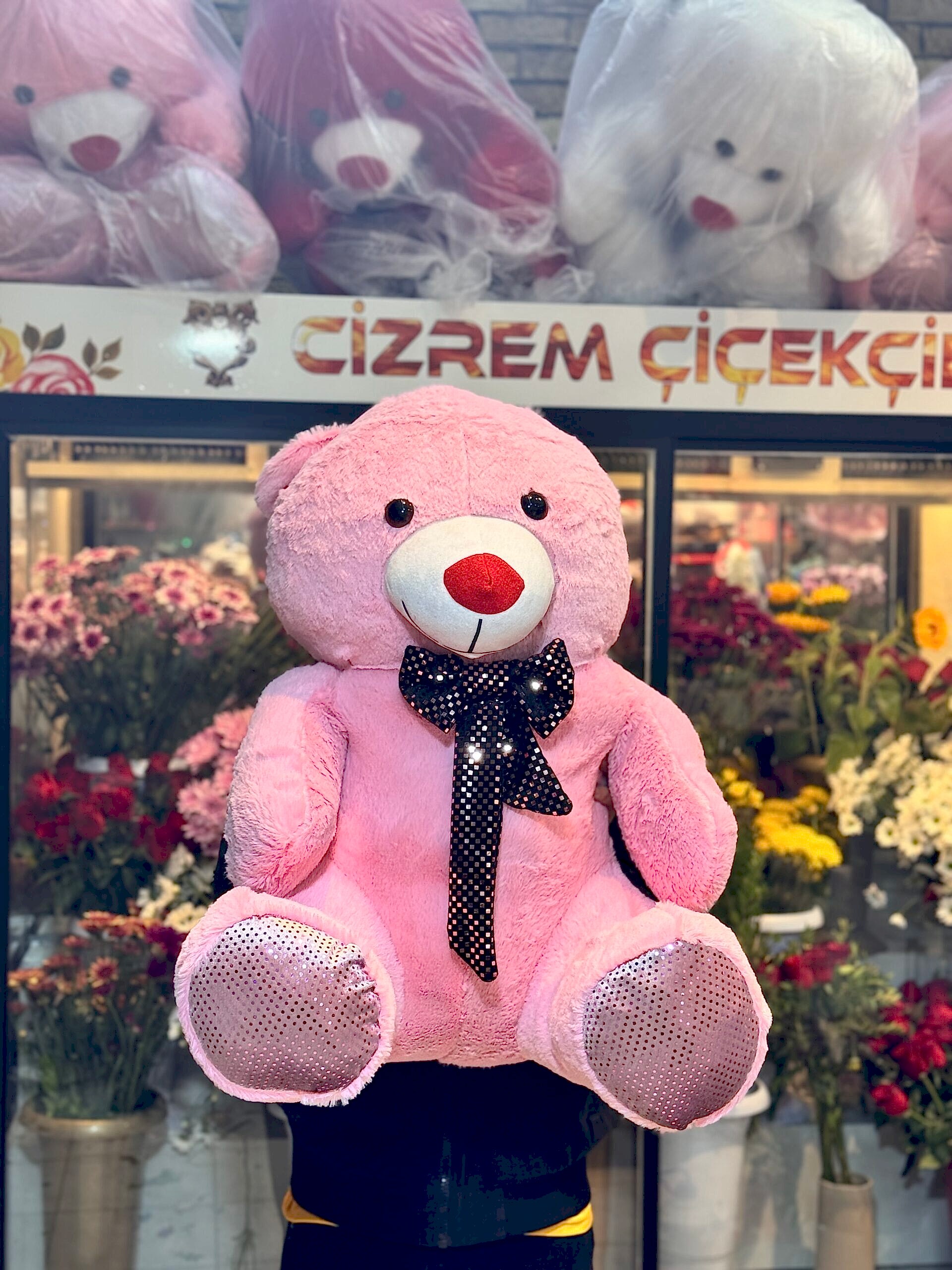 Ayıcıklar & Peluşlar